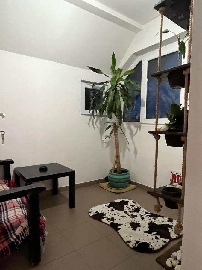 Apartment O Mansarda Intima :) - The Intimate Attic :)