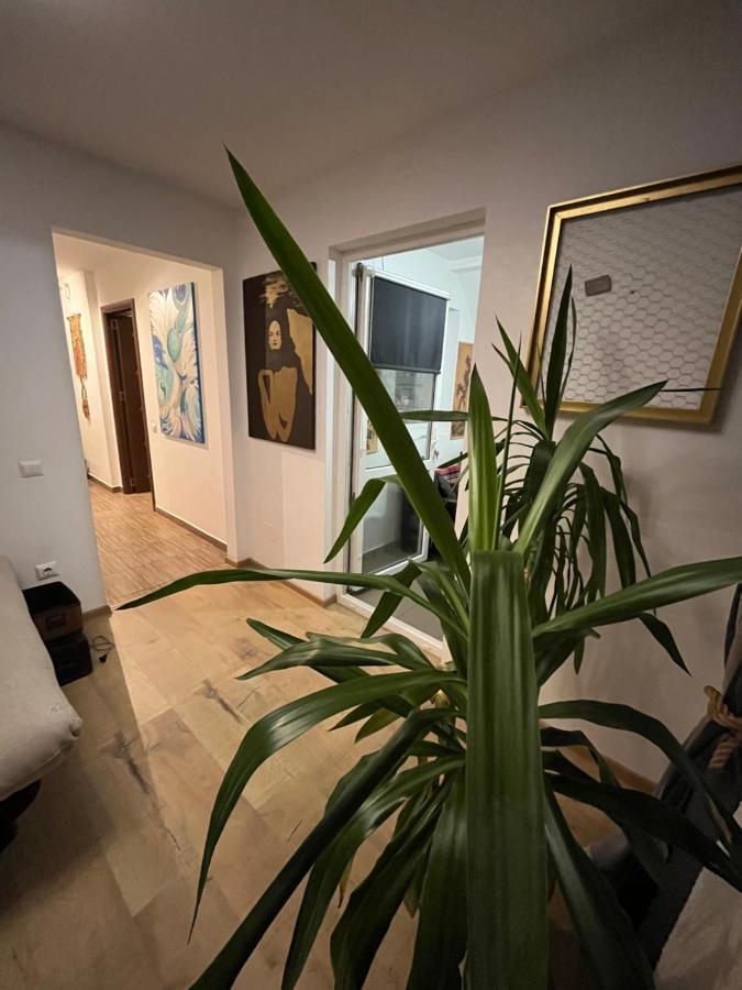 O Mansarda Intima :) - The Intimate Attic :) * Bragadiru