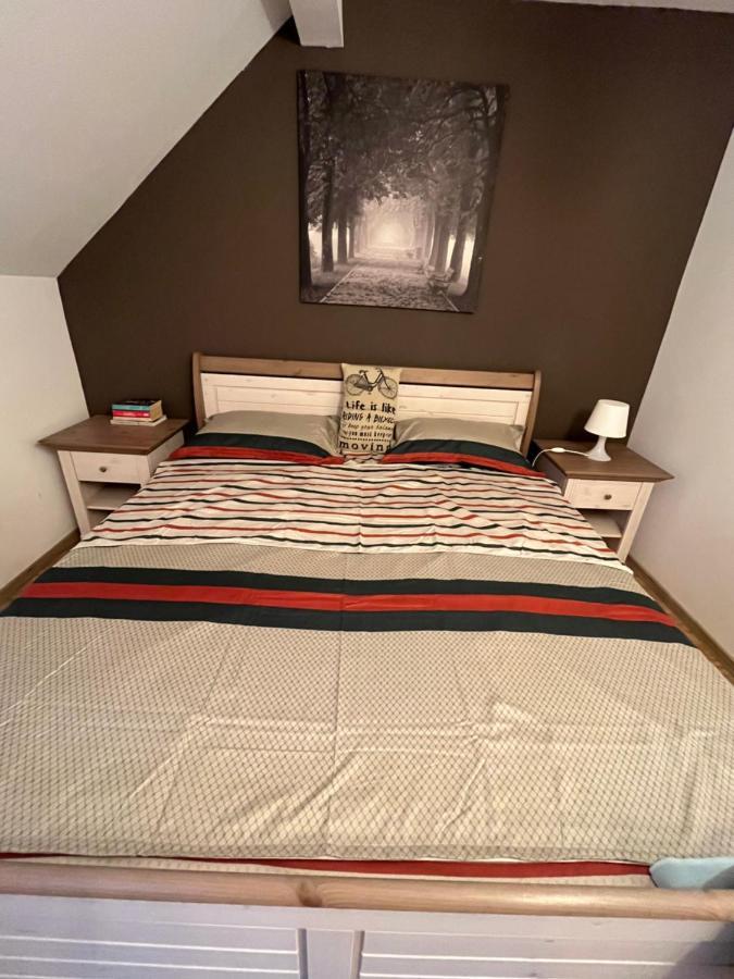 Apartment O Mansarda Intima :) - The Intimate Attic :) Bragadiru